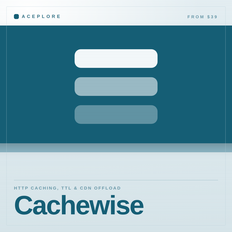 Cachewise — cover