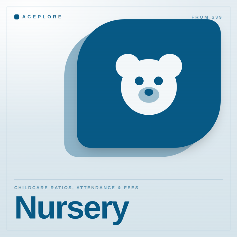 Nursery — Childcare Ratios, Attendance & Fees, an offline browser-based tool by Aceplore
