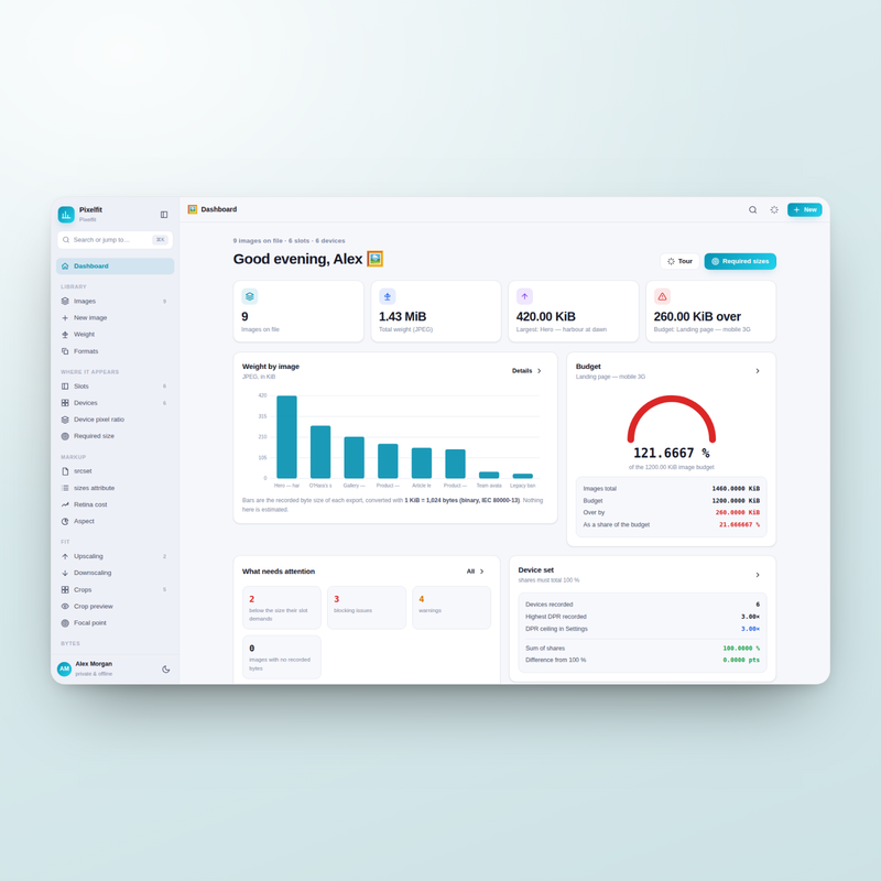 Pixelfit dashboard